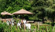 Seeterrasse im Grünen